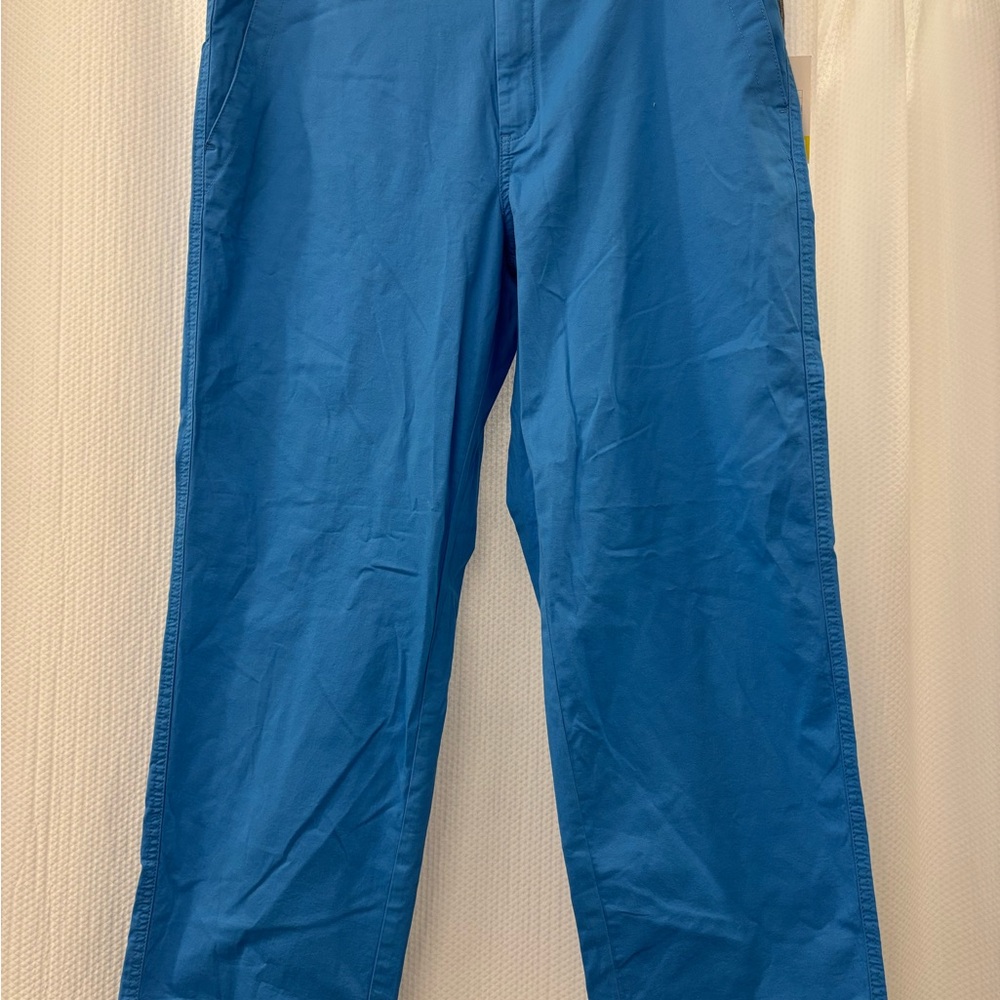 BNWT Woman’s bright blue straight style pants